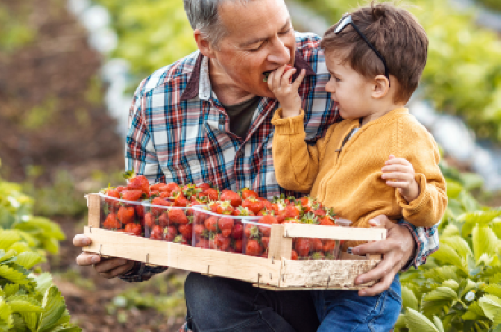 Piraí fortalece agricultura familiar e moderniza compras da merenda escolar
