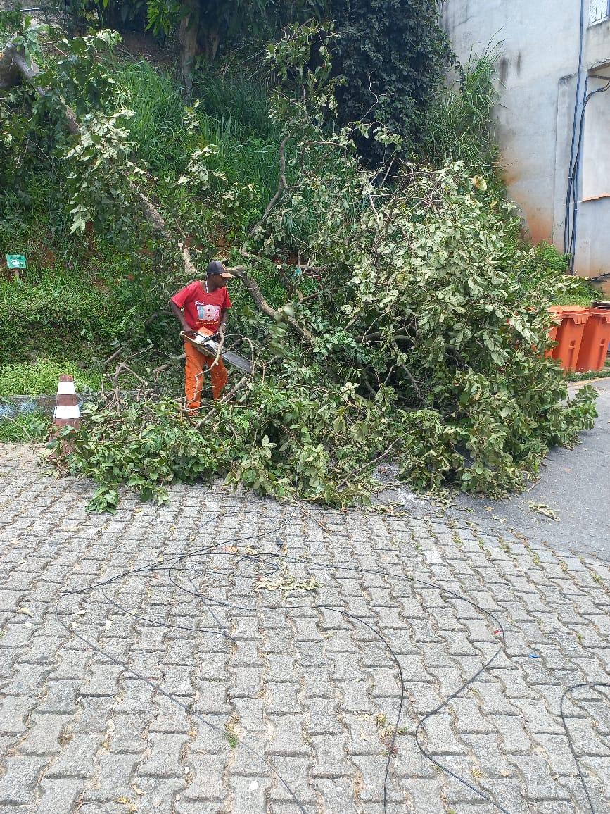 Eles merecem os nossos parabéns!