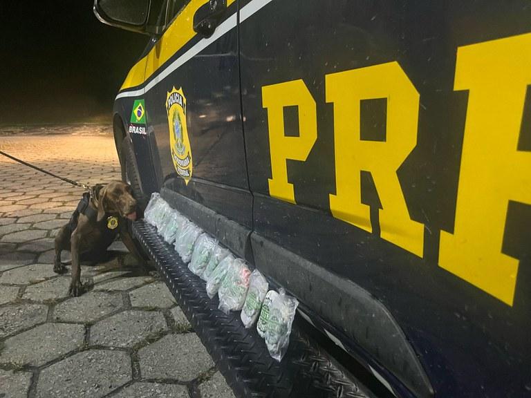 Na Serra das Araras, jovem é presa transportando droga em ônibus interestadual
