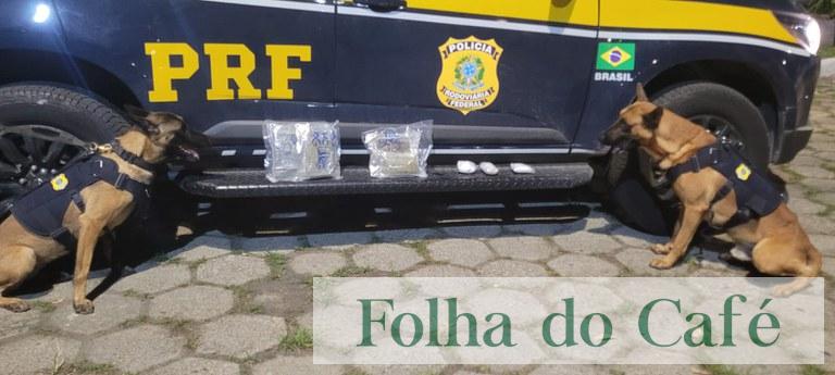 Na Serra das Araras, homem é preso transportando haxixe e “cigarros eletrônicos” em ônibus interestadual