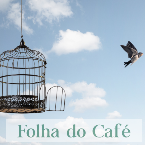 Suspeitos de tráfico são liberados após audiência de custódia