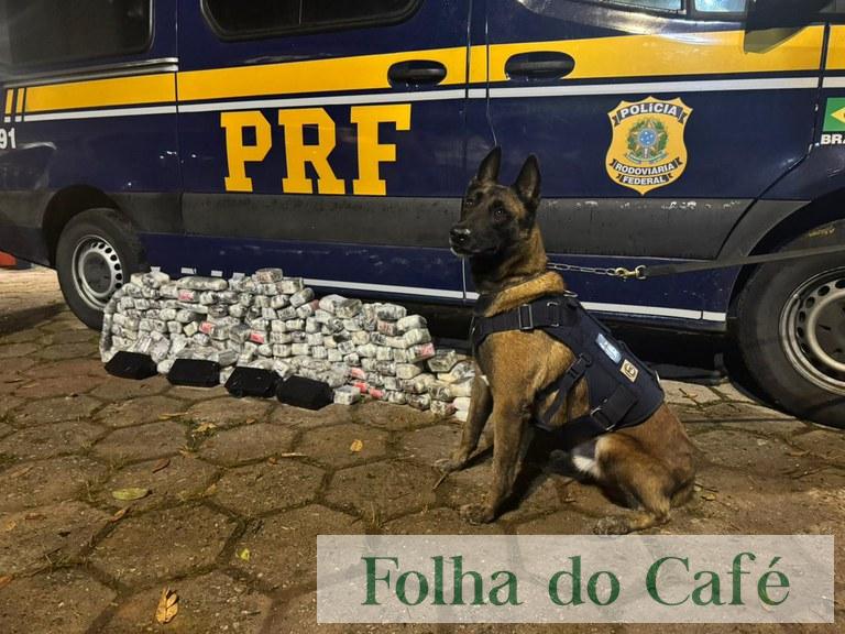 Piraí - PRF apreende mais de 70 quilos de drogas