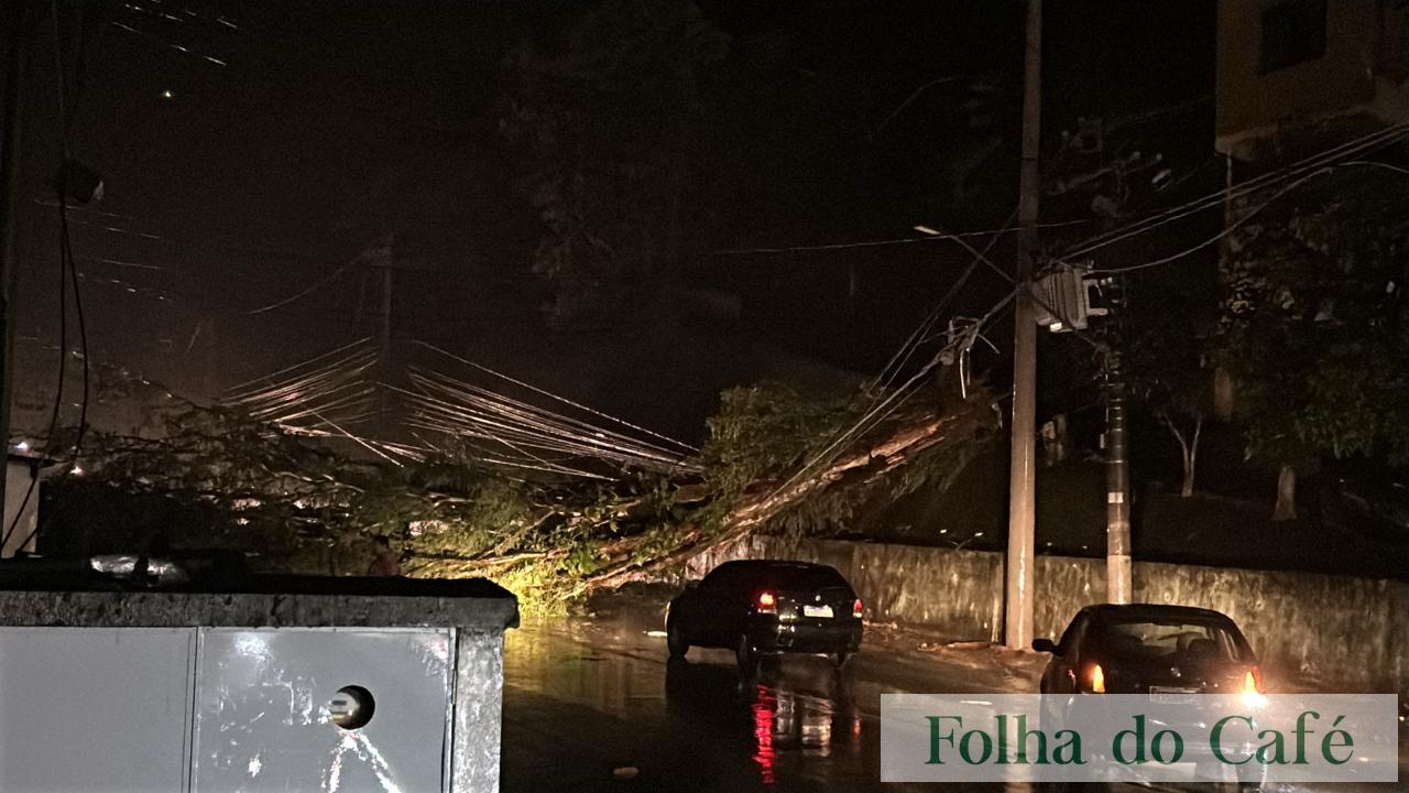 Piraí - Tempestade provoca queda de árvore e deixa toda cidade sem energia elétrica