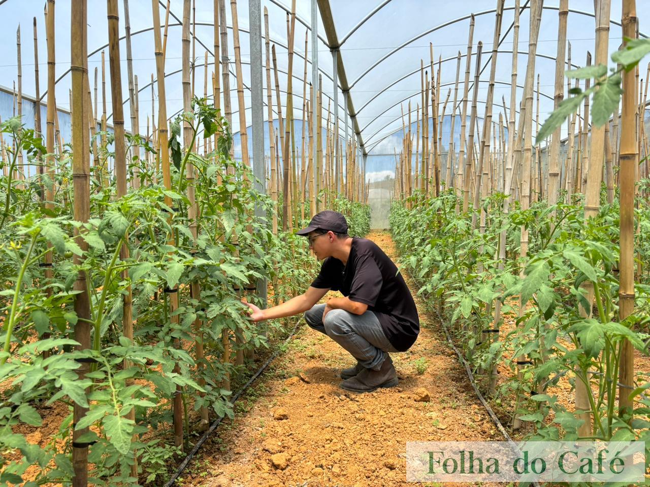 Programa Cultivar Orgânico impulsiona inovação, sustentabilidade e produtividade no campo fluminense