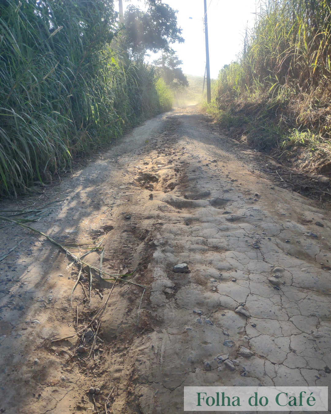 Abandonada pelo Governo Estadual RJ-141 prejudica motoristas, produtores rurais e comunidades entre Piraí e Pinheiral