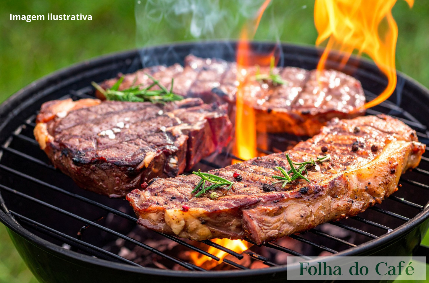 Dimapil lança promoção de churrasqueiras a partir de R$ 86,99