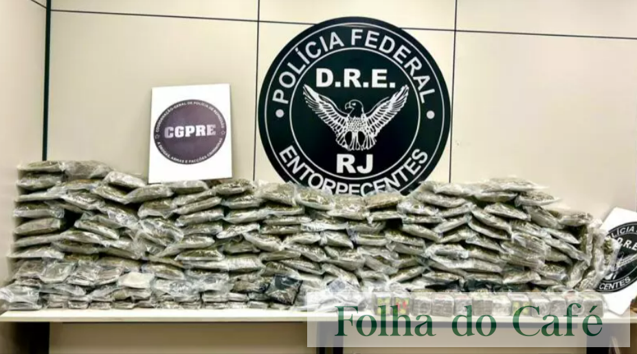 Piraí - Polícia Federal apreende 100 kg de drogas 