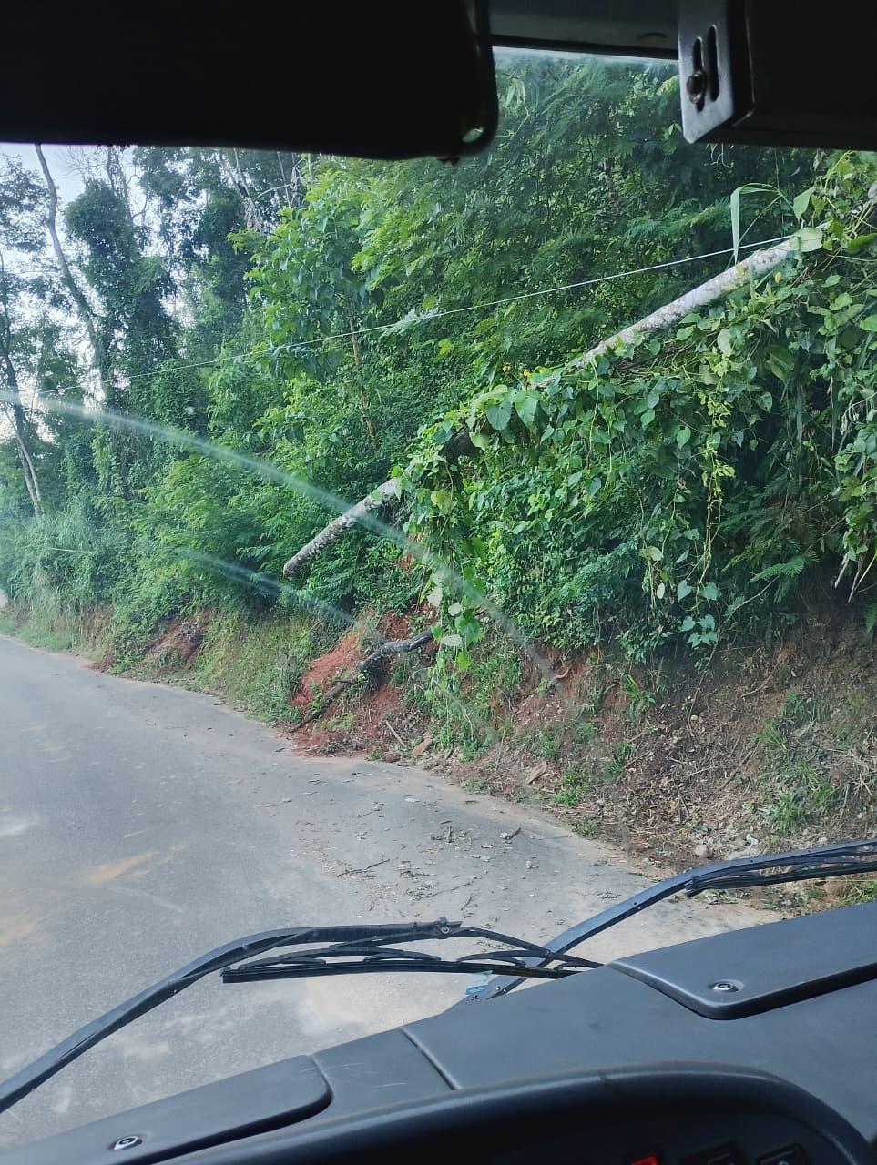 Piraí - Tronco de árvore e postes em risco preocupam moradores do bairro Vale Verde
