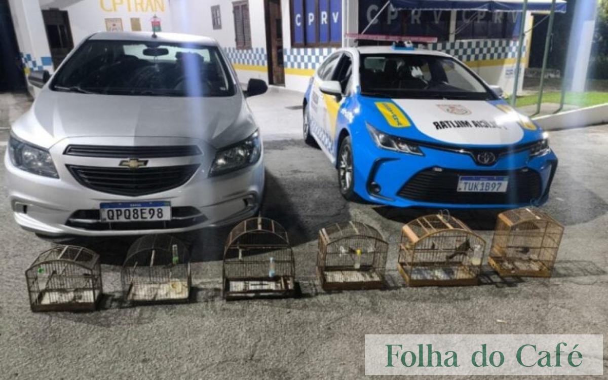 Piraí - BPRv apreende seis aves silvestres durante fiscalização na RJ-145