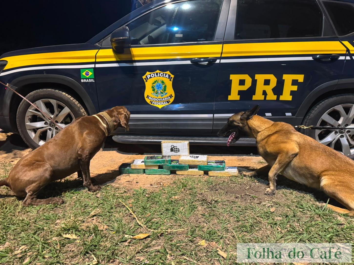 Piraí - Cães farejadores (K9) da PRF localizam quase 10 quilos de drogas em ônibus na Dutra