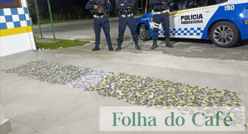 Piraí - PM apreende grande quantidade de drogas em área de mata 