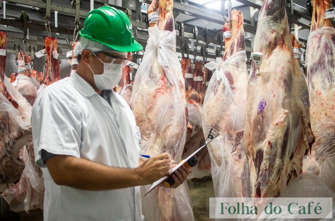 Da prevenção à fiscalização: conheça o trabalho dos médicos-veterinários da Defesa Agropecuária