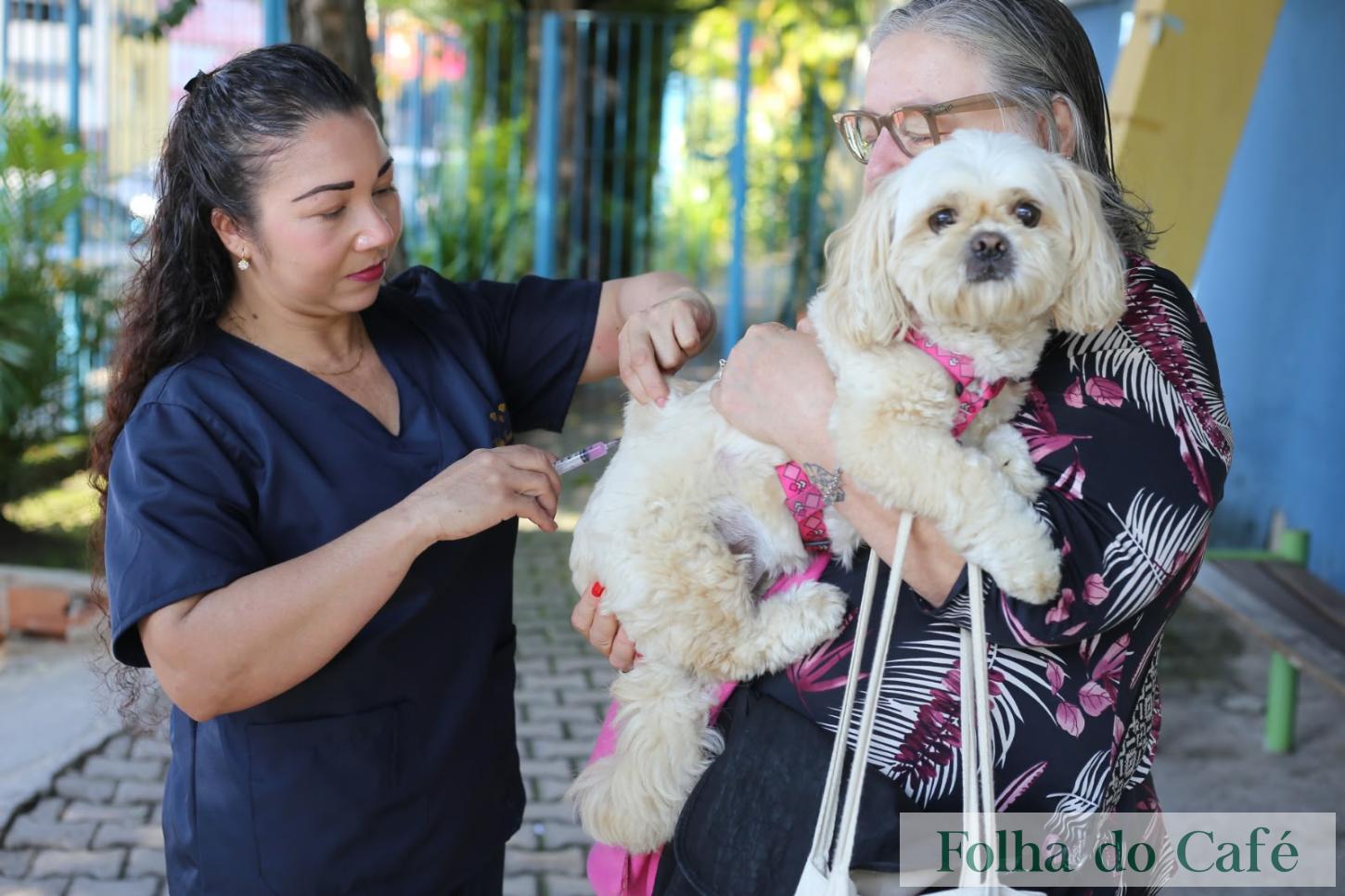 Volta Redonda imuniza mais de 17 mil animais contra a raiva
