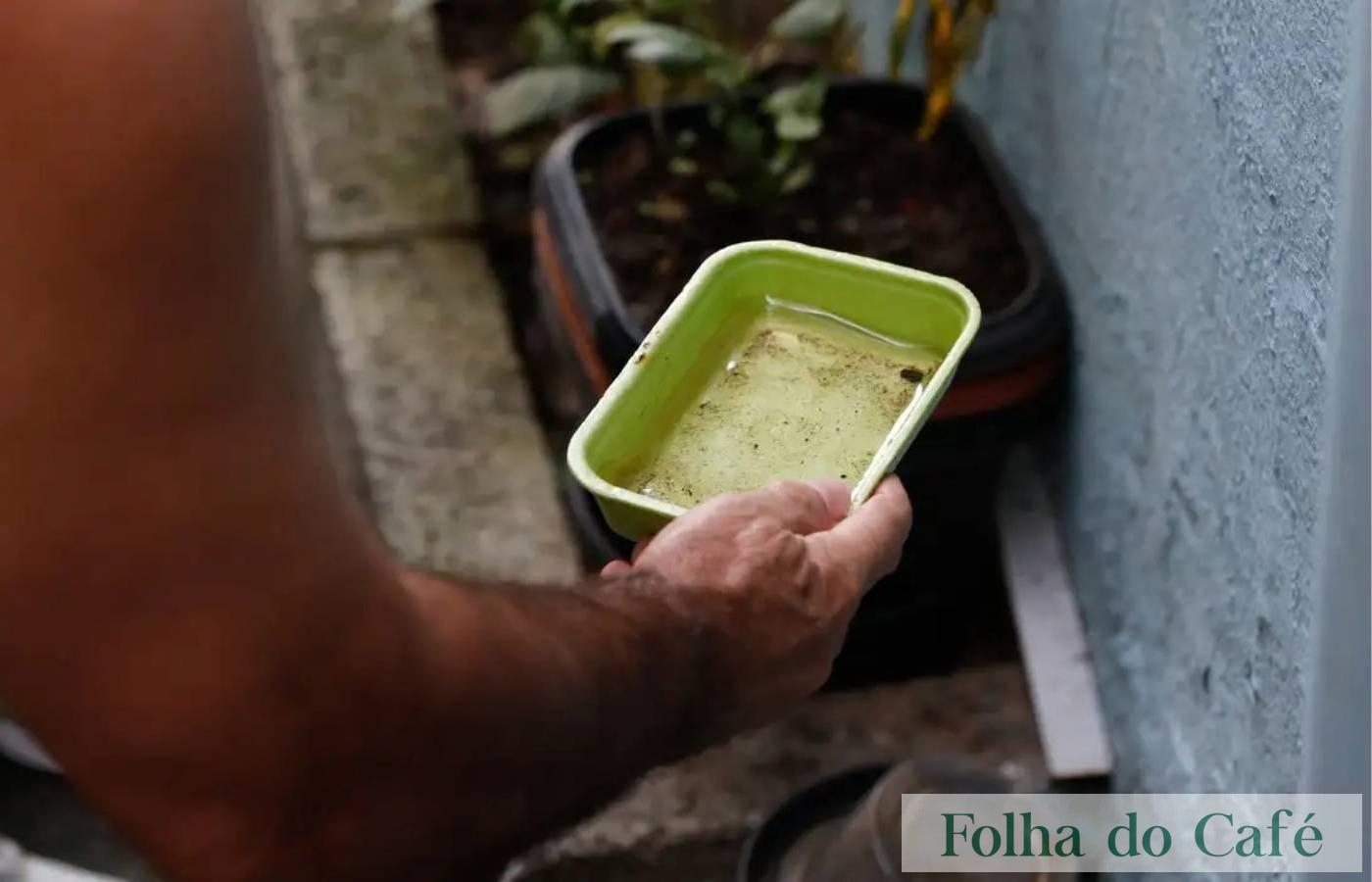 ALERTA - Quase metade dos municípios está em alerta ou risco para presença do Aedes aegypti
