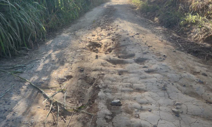 Abandonada pelo Governo Estadual RJ-141 prejudica motoristas, produtores rurais e comunidades entre Piraí e Pinheiral