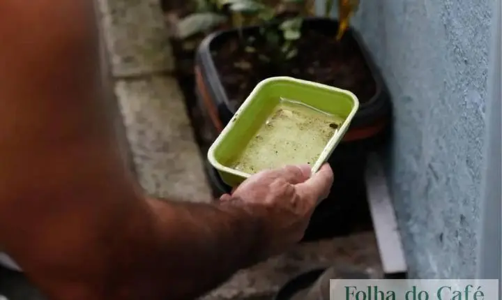 ALERTA - Quase metade dos municípios está em alerta ou risco para presença do Aedes aegypti