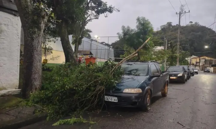 Chuva atinge Piraí derruba árvore sobre carro e deixa localidades sem energia