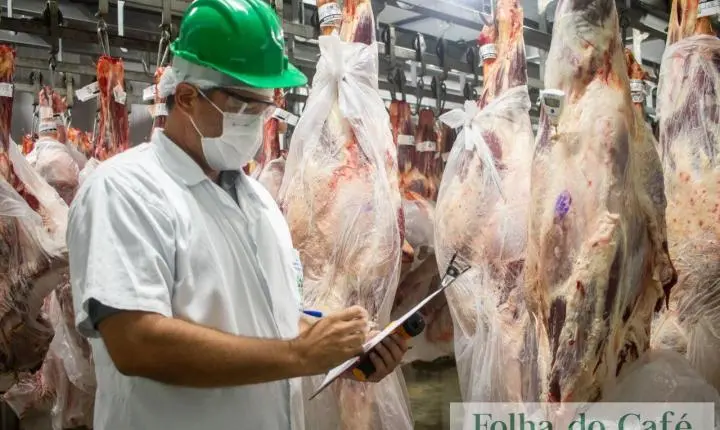 Da prevenção à fiscalização: conheça o trabalho dos médicos-veterinários da Defesa Agropecuária