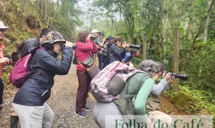 Festival reúne observadores de aves em São Francisco Xavier
