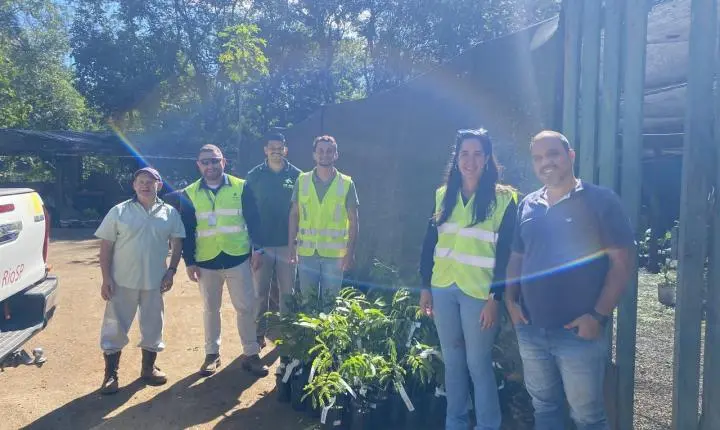 Mudas resgatadas durante obras na Serra das Araras são destinadas a Paracambi