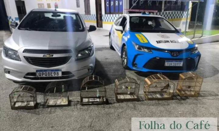 Piraí - BPRv apreende seis aves silvestres durante fiscalização na RJ-145