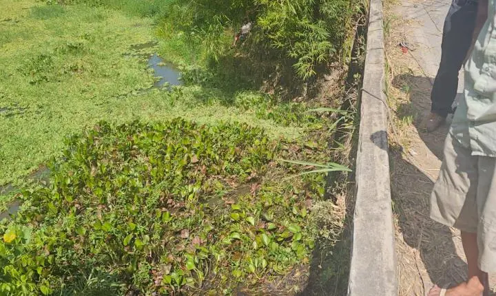 Piraí - Carro cai de ponte e motorista morre em acidente