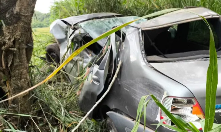 Piraí - Homem de 32 anos morre após carro bater em árvore na RJ-145