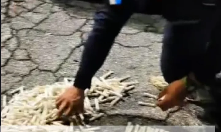 Piraí - PM apreende drogas avaliadas em R$ 75 mil na RJ-145 em Rosa Machado