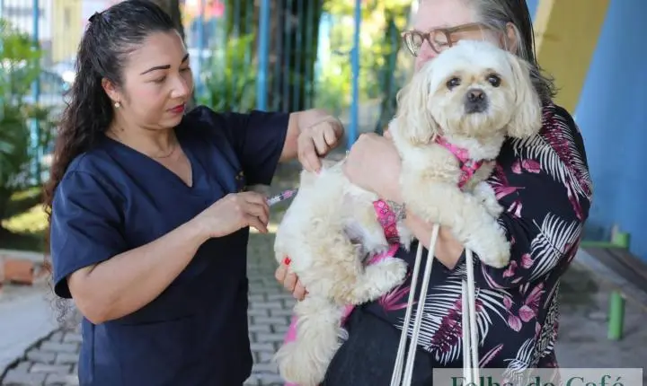 Volta Redonda imuniza mais de 17 mil animais contra a raiva
